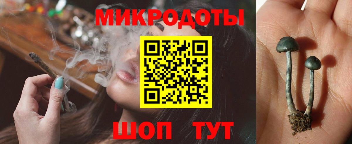 Галлюциногенные грибы Cubensis  Галлюциногенные грибы мухоморы  Вход с VPN  где купить наркоту  Мичуринск 